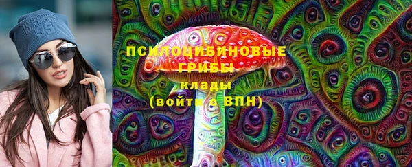 шишки Кодинск