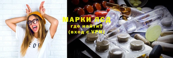шишки Кодинск