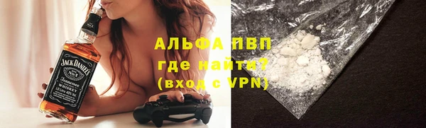 шишки Кодинск