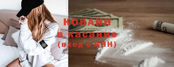 шишки Кодинск