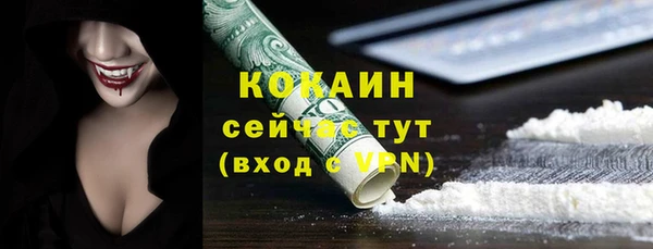 шишки Кодинск