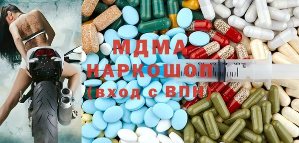 шишки Кодинск