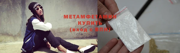 шишки Кодинск