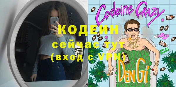 шишки Кодинск