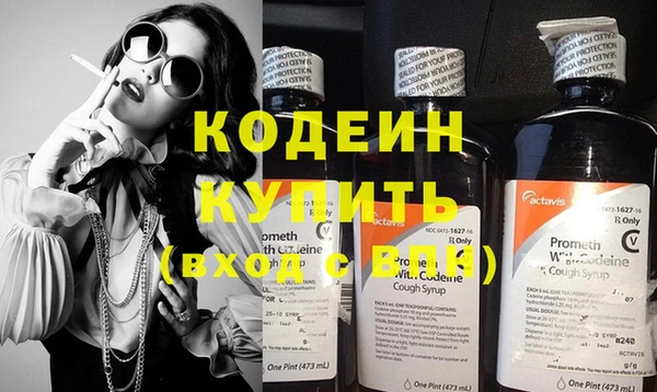 шишки Кодинск