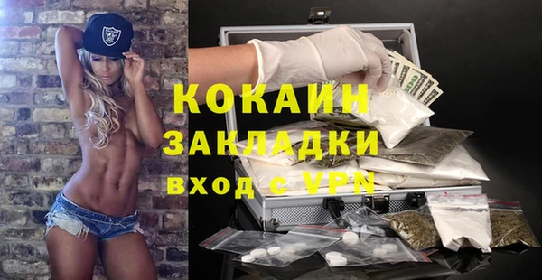 шишки Кодинск
