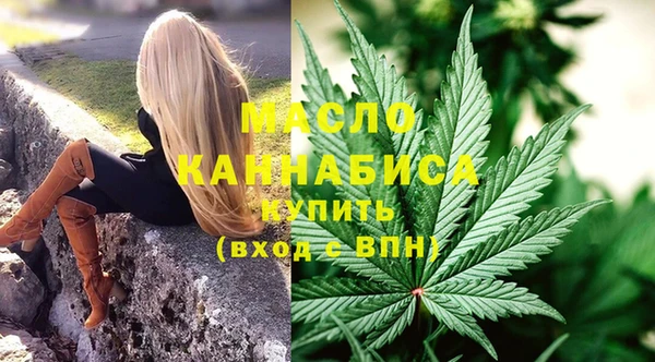 шишки Кодинск