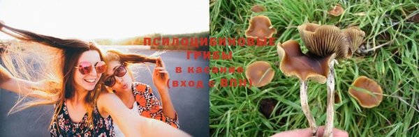 a pvp Козловка