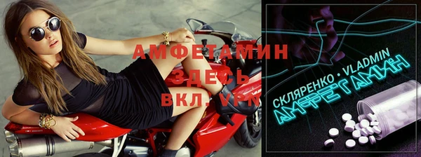 шишки Кодинск