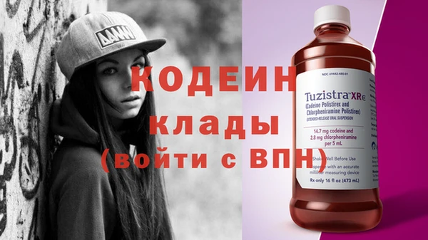 шишки Кодинск