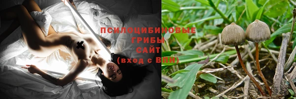 шишки Кодинск