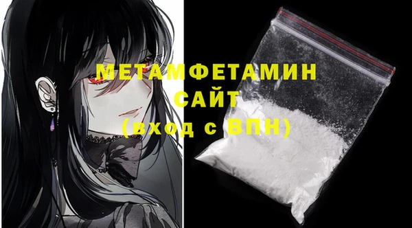 шишки Кодинск