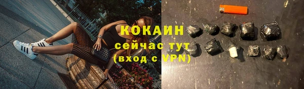 шишки Кодинск