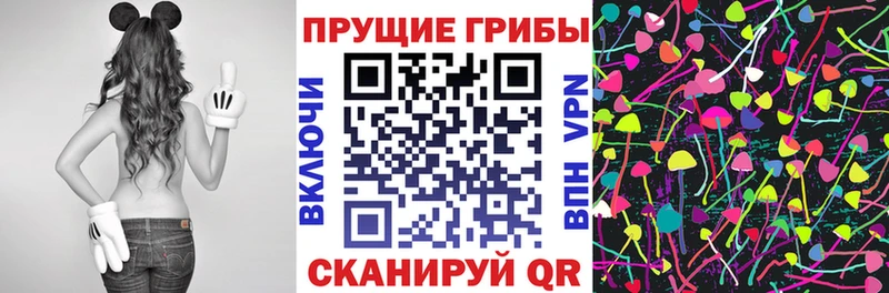Галлюциногенные грибы Cubensis  Купить  Николаевск-на-Амуре 