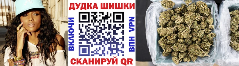 Купить где  Николаевск-на-Амуре  Конопля индика 